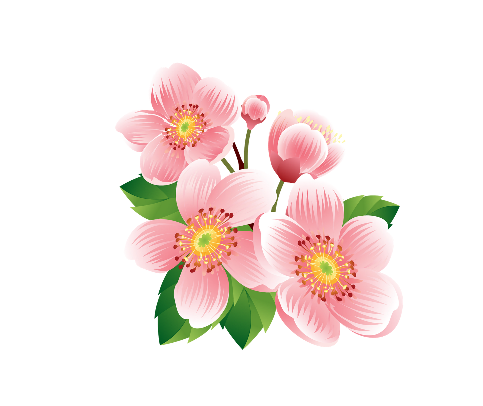 flower clipart for photoshop - photo #31