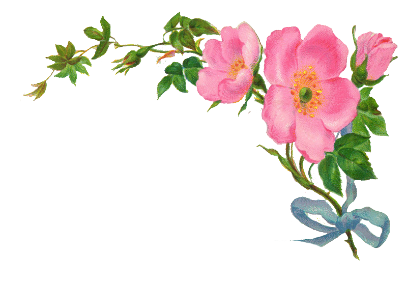 free flower clipart png - photo #35